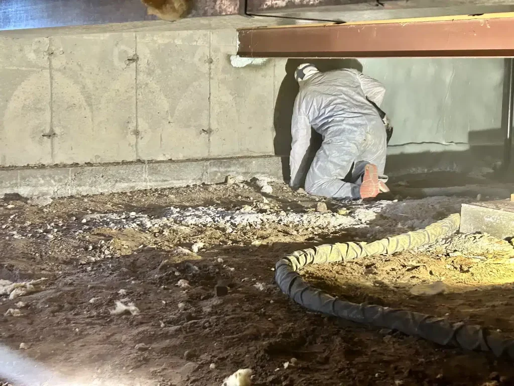 Crawl Space Spray Foam – RIB Spray Foam

